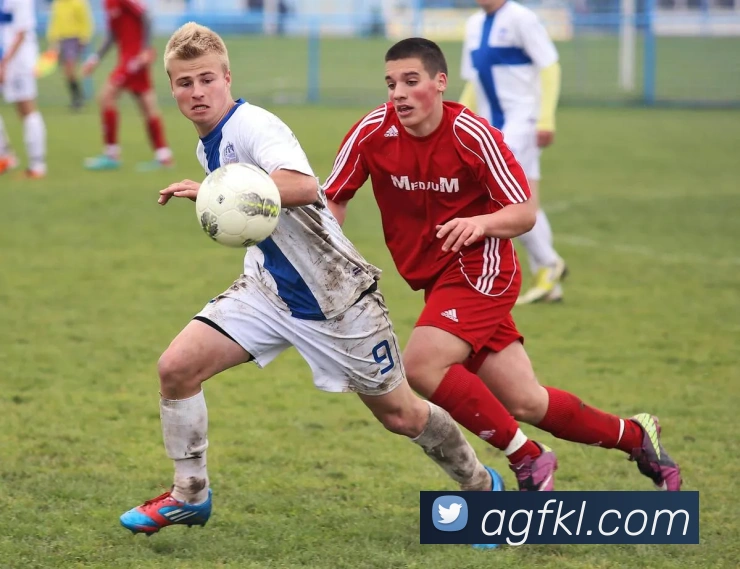 ag官网发展历程